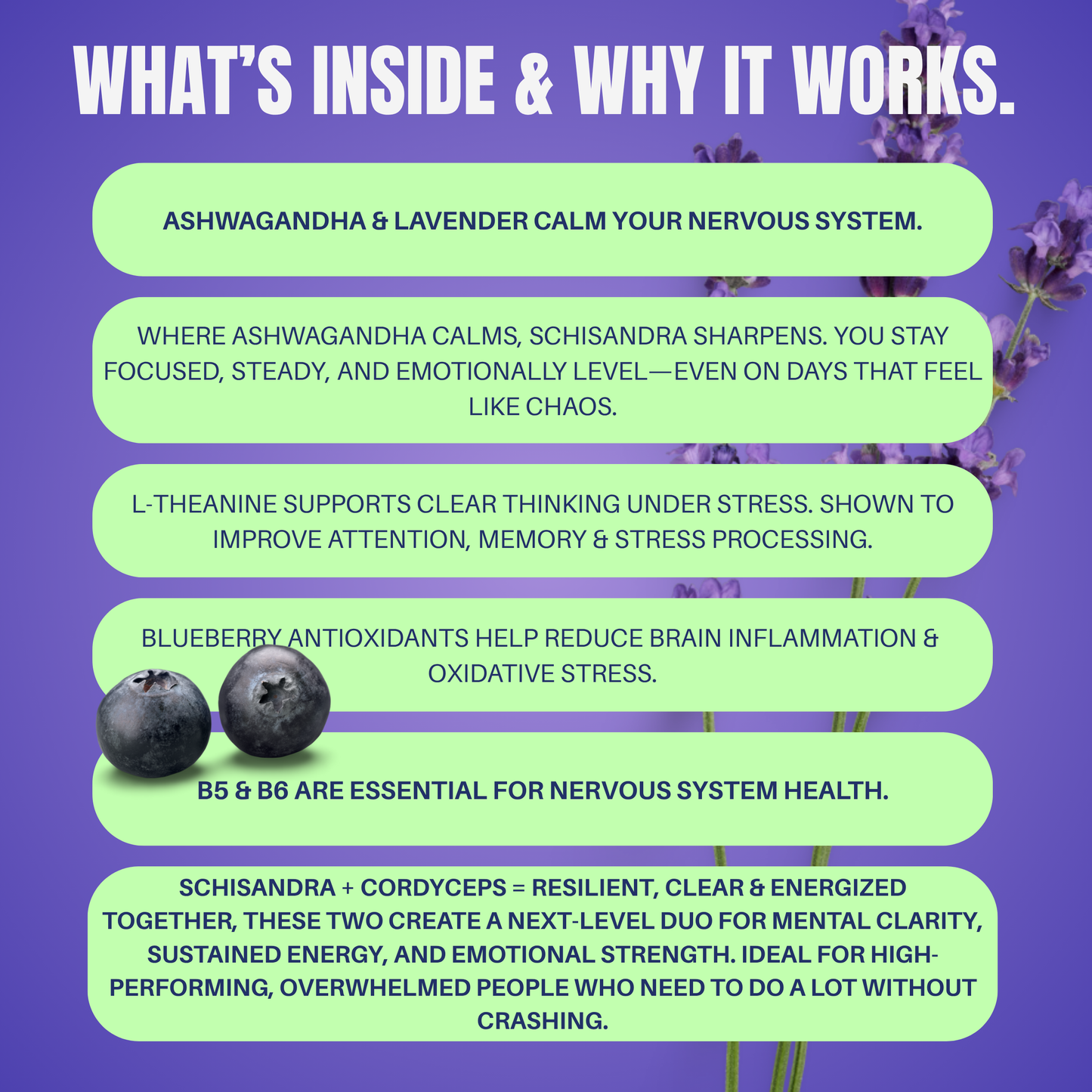 Funky Vits "No Worries" - Natural Stress Relief Capsules | Vegan, Plant-Based Formula with B-Vitamins, Ashwagandha & Lavender