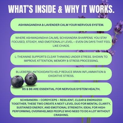 Funky Vits "No Worries" - Natural Stress Relief Capsules | Vegan, Plant-Based Formula with B-Vitamins, Ashwagandha & Lavender