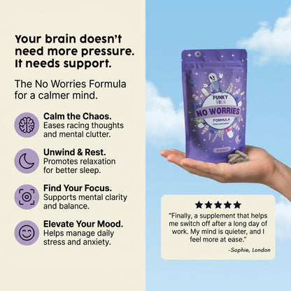 Funky Vits  - No Worries